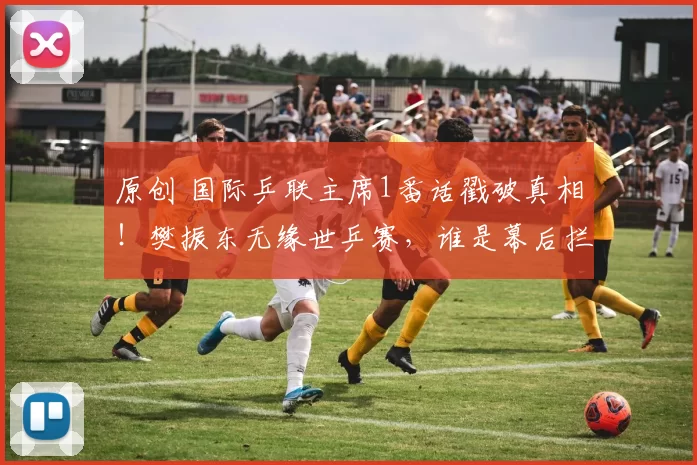 原创 国际乒联主席1番话戳破真相！樊振东无缘世乒赛，谁是幕后拦路虎？