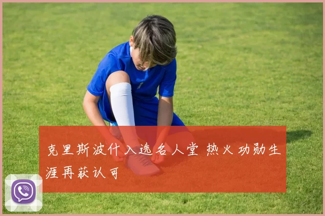 克里斯波什入选名人堂 热火功勋生涯再获认可